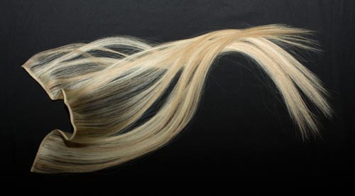 VS Systema Rapid Lengths Hair